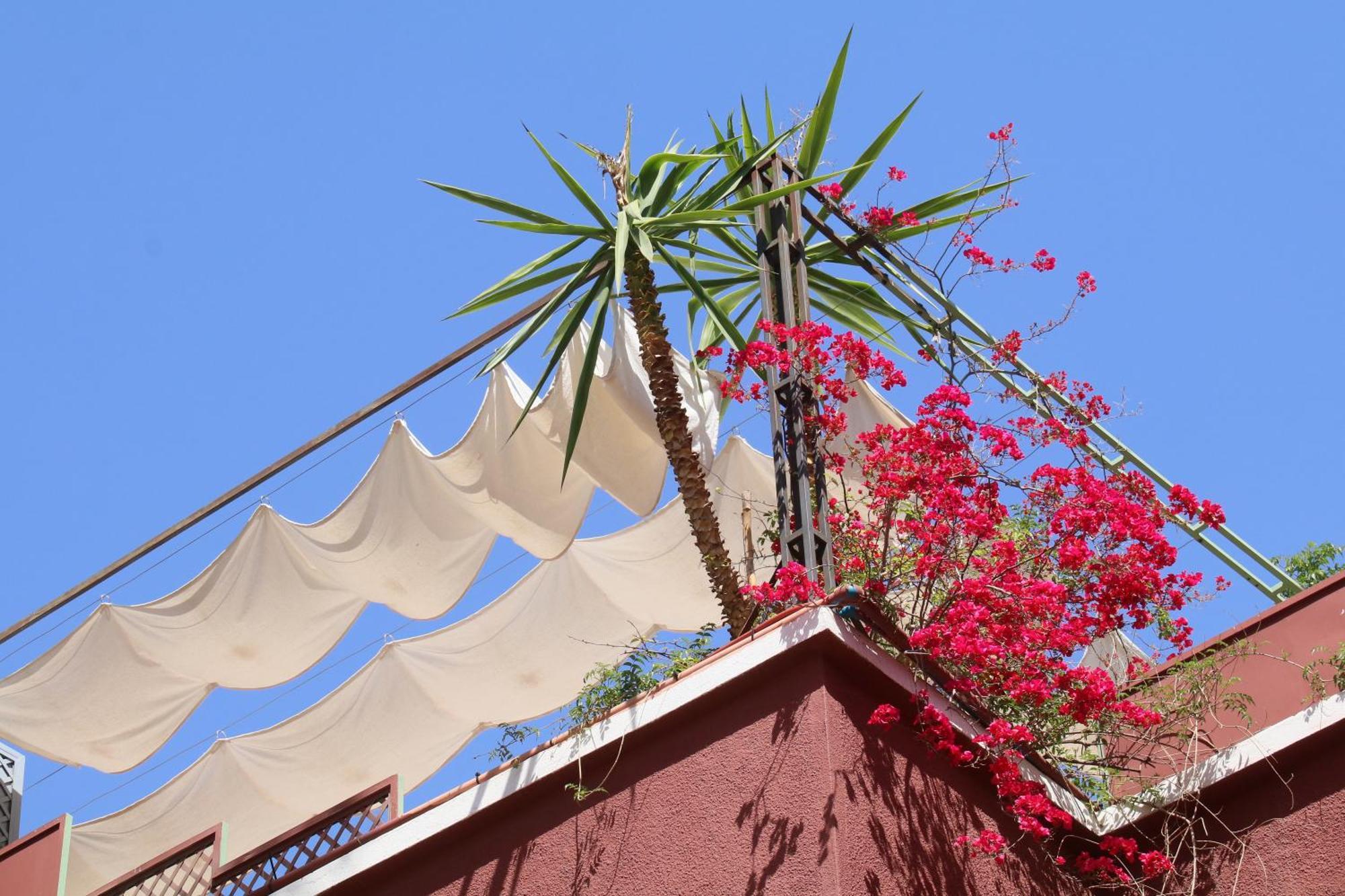 Riad Celia Маракеш Екстериор снимка